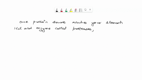 1-in-details-discuss-digestion-of-protein-in-stomach-and-small-intestine-71392