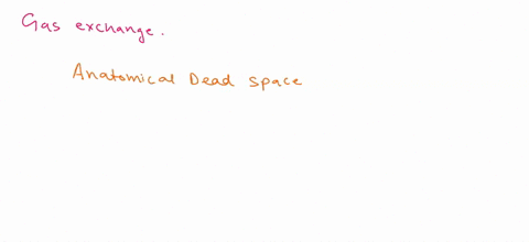 because-gas-exchange-does-not-occur-within-the-conducting-zone-of-the-respiratory-system-it-also-referred-as-what-40795