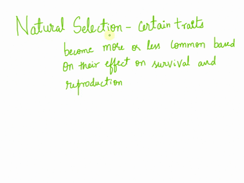 describe-two-processes-by-which-evolution-can-occur-explain-why-89171