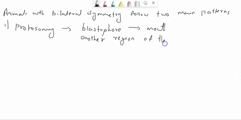 74-animals-with-bilateral-symmetry-are-divided-into-two-clades-protostomes-and-deuterostomes-protostomes-means-group-of-answer-choices-the-organism-develops-the-anu-s-first-from-the-blastopo-98825