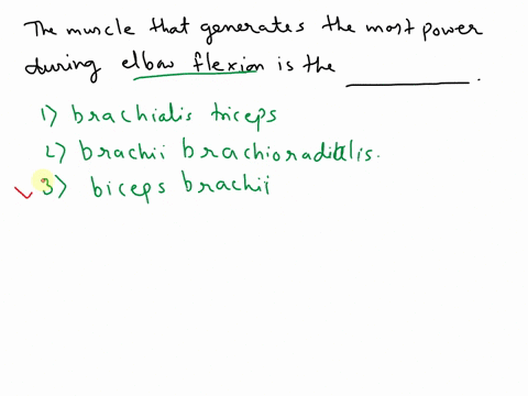 the-muscle-that-generates-the-most-power-during-elbow-flexion-is-the-__________-the-muscle-that-generates-the-most-power-during-elbow-flexion-is-the-__________-brachialis-triceps-brachii-bra-64082