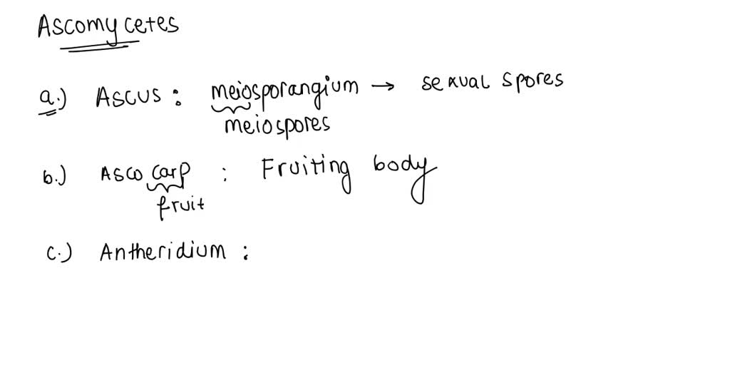 SOLVED For what structure's function is most similar to