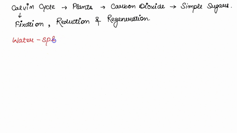 11-which-of-these-is-not-necessary-for-the-calvin-cycle-a-nadph-b-oxygen-c-atpd-carbon-dioxide-12-carbon-dioxide-a-is-an-input-to-the-electron-transport-chain-b-is-an-input-to-the-calvin-cyc-25606