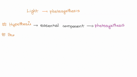 question-what-effect-does-light-have-on-photosynthesis-hypothesis-relative-to-the-question-posed-what-is-your-hypothesis-we-hypothesize-that-prediction-if-your-hypothesis-is-true-what-do-you-84212