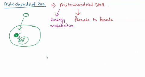 explain-what-is-mitochondrial-eve-what-is-y-chromosomal-adam-identify-what-a-haplogroup-is-58186