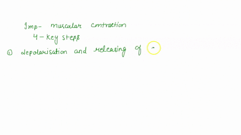describe-the-important-steps-in-muscle-contraction-66052