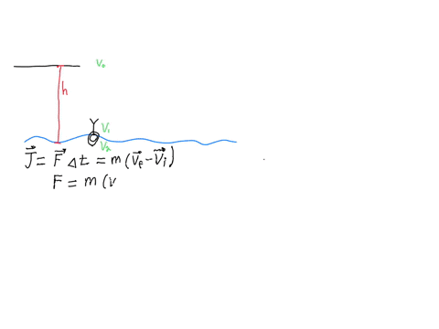 a-professional-diver-of-mass-60-kg-performs-a-dive-from-a-platform-10-m-above-the-water-surface-find-the-magnitude-of-the-average-impact-force-experienced-by-him-if-the-impact-time-is-1s-on-03493