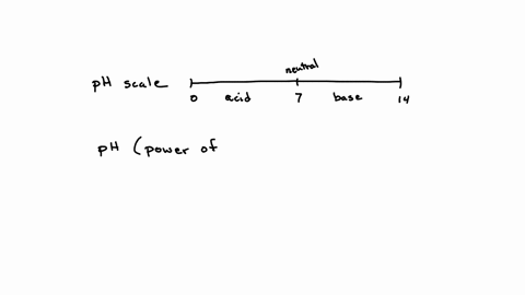 the-ph-scale-measures-what-in-a-solution