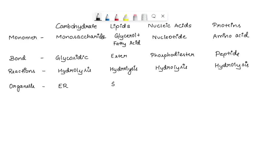 SOLVED What are the four types of biomolecules? For each biomolecule