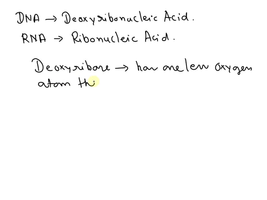 SOLVED RNA has the same deoxyribose sugar that occurs in DNA.