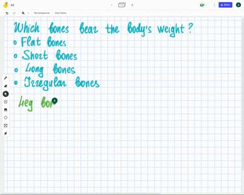 question-16-which-bones-bear-the-bodys-weight-flat-bones-short-bones-long-bones-irregular-bones