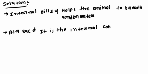 question-40-in-the-insect-tracheal-systern-gas-exchange-wlth-the-cells-occurs-at-the_-internal-gills-air-sacs-air-capillaries-spiracles-55363