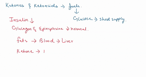 in-uncontrolled-diabetes-the-body-converts-fats-to-the-so-called-ketone-bodies-acetoacetate-and-3-hydroxybutyrate-which-accumulate-in-the-blood-stream-do-the-ketone-bodies-contribute-to-acid-12172