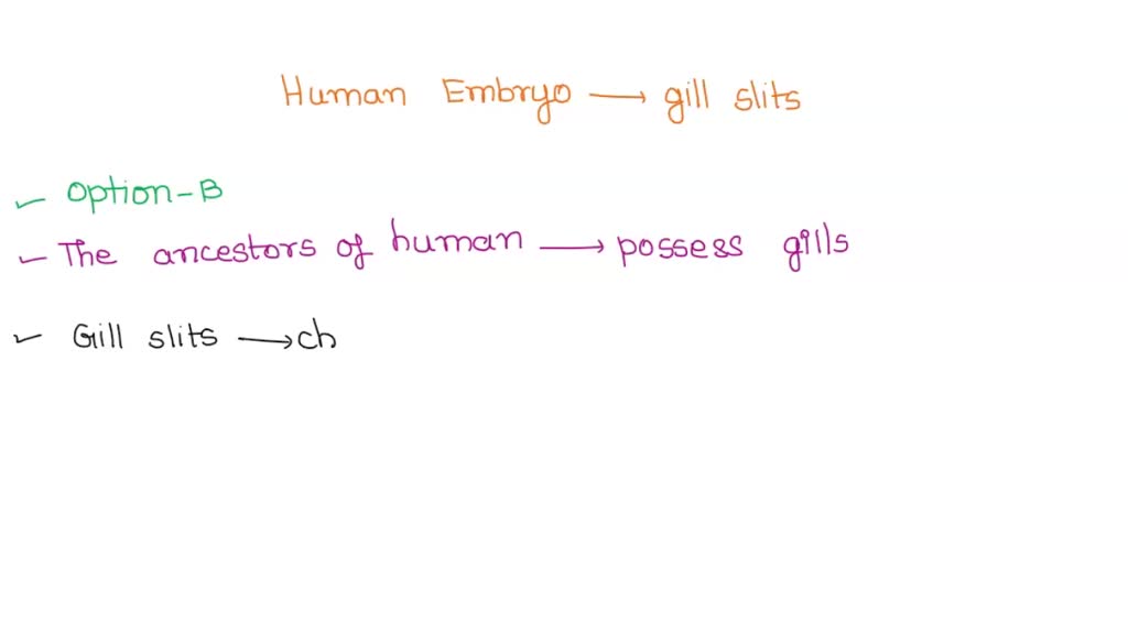 humans with gill slits
