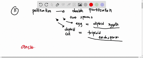 11-in-angiosperms-pollination-results-in-delivery-of-sperm-cells-to-the-ovary-after-which-what-happens-a-fertilization-occurs-resulting-in-a-triploid-zygote-b-meiosis-occurs-resulting-in-3-h-34454