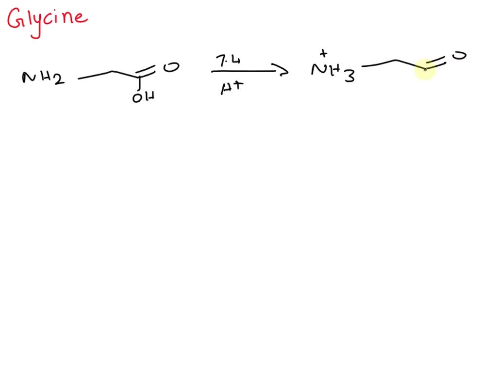 Polypeptide Chain | Definition & Structure - Lesson | Study.com