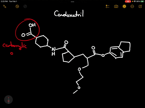 functional-groups-of-candoxatril-06606