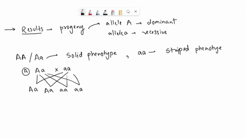 you-discover-new-mutant-honeybee-with-no-stripes-you-begin-breeding-this-new-bee-with-wild-type-soipedtooneybees-froma-3ouo-ccosses-ou-get-the-progeny-in-the-table-below-using-the_gese-assbo-88865