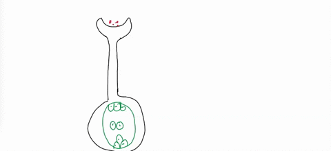 question-3-1-pts-after-pollination-and-fertilization-the-of-the-angiosperm-flower-develops-into-the-seed-which-often-contains-as-3-source-of-energy-for-the-embryo-ovule-starch-sepal-fruit-an-96253