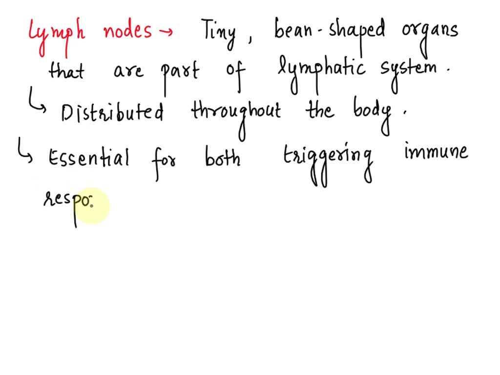 SOLVED Which of the following is NOT a secondary lymphatic organ