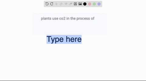 plants-use-co2-in-the-process-of-31806