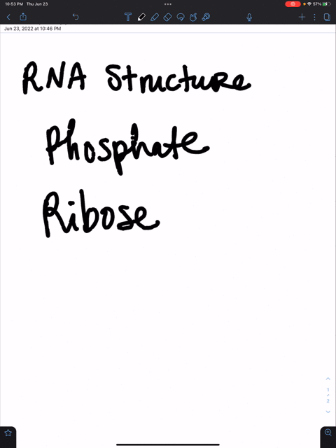 draw-a-complete-structure-of-an-rna-segment-illustrating-at-least-three-consecutive-nucleotides-you-can-choose-them-but-do-use-three-different-rna-bases-08242