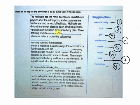 please-use-the-drag-and-drop-environment-to-put-the-corect-words-in-the-right-places-the-mollusks-are-the-most-successful-invertebrate-phylum-after-the-arthropodsand-occupy-marine-freshwater-24542
