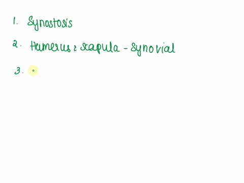 7-the-five-fused-vertebrae-within-the-sacrum-are-collectively-classified-as-what-type-of-joint-amphiarthrosis-synchondrosis-symphysis-synostosis-8-which-of-these-joints-is-not-matched-with-t-51627