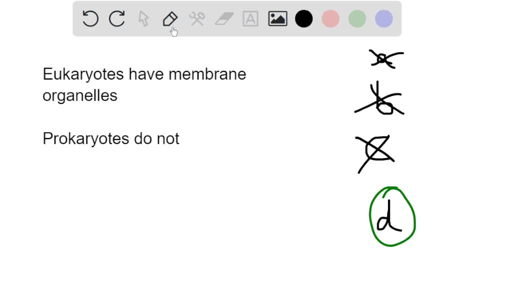 SOLVED: QUESTION 19 Which of the following statements concerning ...