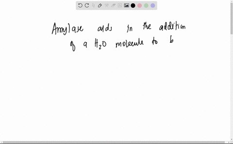 ottte-folowing-best-explains-the-reactions-of-these-enzymes-amylase-aids-in-the-removal-of-a-water-molecule-to-break-covalent-bonds-whereas-glycogen-synthase-aidsin-the-laddition-of-a-water-70948