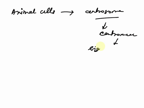 637383940442-question40-microtubules-start-to-form-from-in-the-animal-celsandit-extends-to-the-probeincomolexcaled-on-the-centromeresall-mcrotubufes-are-connected-to-centromeres-of-ali-pain-99127