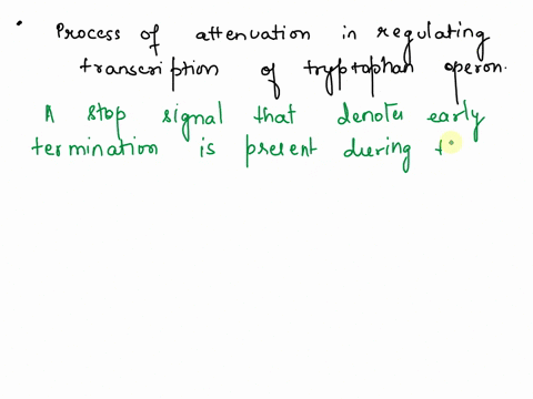 explain-the-process-of-attenuation-in-regulating-transcription-of-the-tryptophan-operon-00405