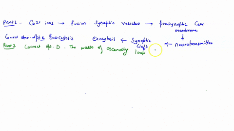 1neurotransmitters-are-released-from-presynaptic-axon-terminal-into-the-synaptic-cleft-by-which-mechanism-a-osmosis-b-active-transport-c-diffusion-d-endocytosis-c-exocytosis-2which-of-the-fo-35853