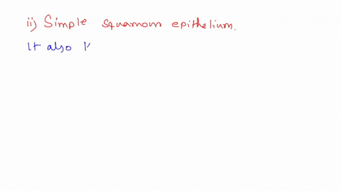 which-of-the-following-best-described-a-single-layer-of-flat-cells-above-the-2-points-basement-membrane-stratified-cuboidal-epithelium-simple-squamous-epithelium-simple-cuboidal-epithelium-s-84816