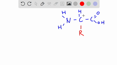 what-best-describes-an-essential-amino-acid-82952