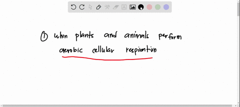 during-wch-of-these-processes-is-oxygen-consumed-1when-plants-perform-photosynthesis-2when-plants-or-animals-perform-aerobic-cellular-respiration-3when-aerobic-bacteria-break-down-dead-algae-11653