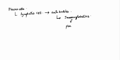 which-type-of-lymphatic-cell-is-responsible-for-producing-antibodies-select-one-a-macrophages-b-plasma-cells-d-nk-cells-63437