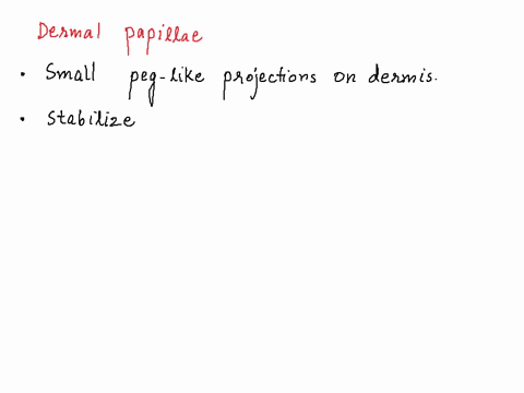 dermal-papillae-keep-the-epidermis-from-sliding-off-the-body-and-provide-friction-ridges-that-help-keep-items-from-sliding-out-of-your-hands-despite-the-fact-that-dead-keratinocytes-are-slid-65283