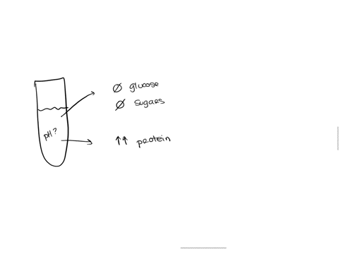 assume-you-are-growing-bacteria-on-a-protein-rich-medium-that-lacks-any-glucose-or-other-sugars-and-the-ph-started-at-ph-7-the-action-of-bacterial-proteases-should-cause-the-ph-of-the-medium-71444