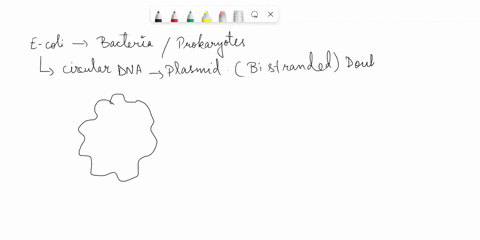 movne-another-question-will-save-this-response-question-16-replicalon-ofice-ecnume-cald-jnc-js-tneta-replication-bldireciona-cine-circt-iation-undirectiona-inejt-colcalon_-kections-tollinz-g-21107