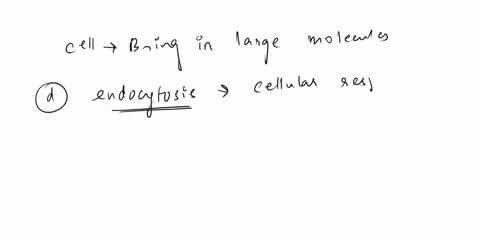 which-term-identifies-the-process-used-by-the-cell-to-bring-in-large-molecules-a-osmosis-b-homeostasis-c-exocytosis-d-endocytosis-77989