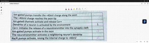 the-following-is-a-list-of-steps-that-occur-during-neuron-action-potential-place-the-steps-in-order-beginning-with-dendrite-activation-lon-gated-pumps-transfer-the-4omv-charge-along-the-axon-55387