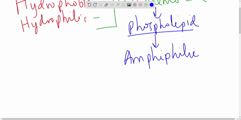 explain-how-a-molecule-can-be-both-hydrophilic-and-hydrophobic-give-an-example