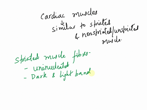 cardiac-muscles-are-similar-to-both-striated-and-unstriated-muscles-why-55725