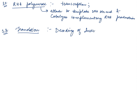 name-date-lab-section-17-the-enzyme-that-uses-one-strand-of-dna-as-template-to-assemble-nucleotides-into-strand-of-rna-is-called-18-the-decoding-of-an-mrna-message-into-protein-known-a8-the-54257