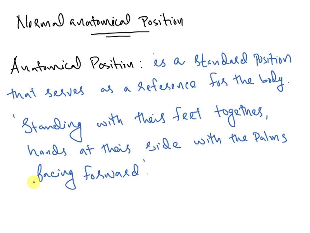 SOLVED: What is the position of the body when it is in the 