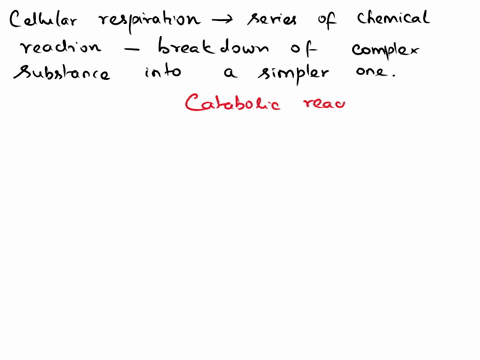 which-process-does-not-occur-in-cellular-respiration-a-calvin-cycle-glycolysis-b-electron-transport-chainc-glycolysis-d-krebs-cycle-53497