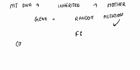 which-observation-supports-the-inference-that-humans-and-chimpanzees-share-a-common-ancestor-15468