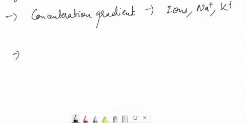 please-asap-thanku-if-one-increases-the-intracellular-concentration-of-na-around-a-neuron-what-would-happen-to-the-resting-membrane-potential-ion-extracellular-concentration-mm-intracellular-64346