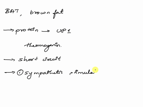 explain-at-the-molecular-level-how-brown-adipose-tissue-brown-fat-produces-heat-by-non-shivering-thermogenesis-81082